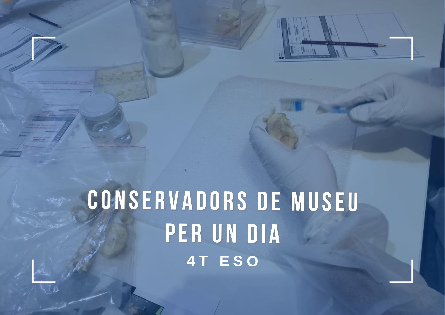 ESO Conservadors de museu